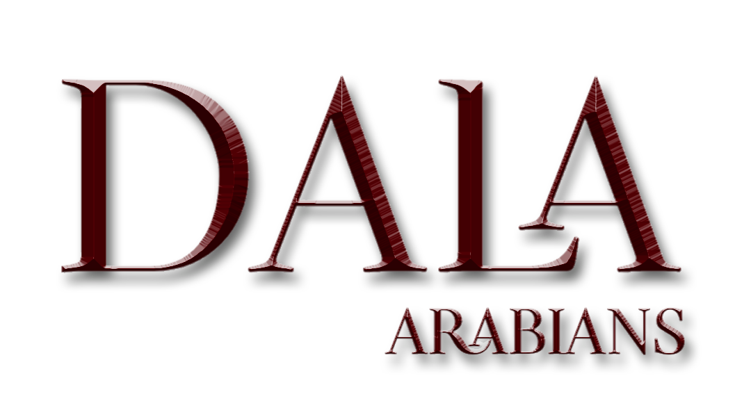 Dala Arabians